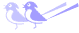 静岡県の鳥：三光鳥